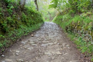 Camino-De-Santiago-in-Spain-e1360917612157