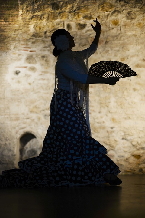 flamenco-1046485_960_720